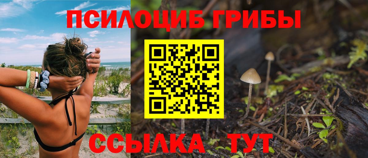 где можно купить   Псилоцибиновые грибы Psilocybe  Вход с VPN  Надым 