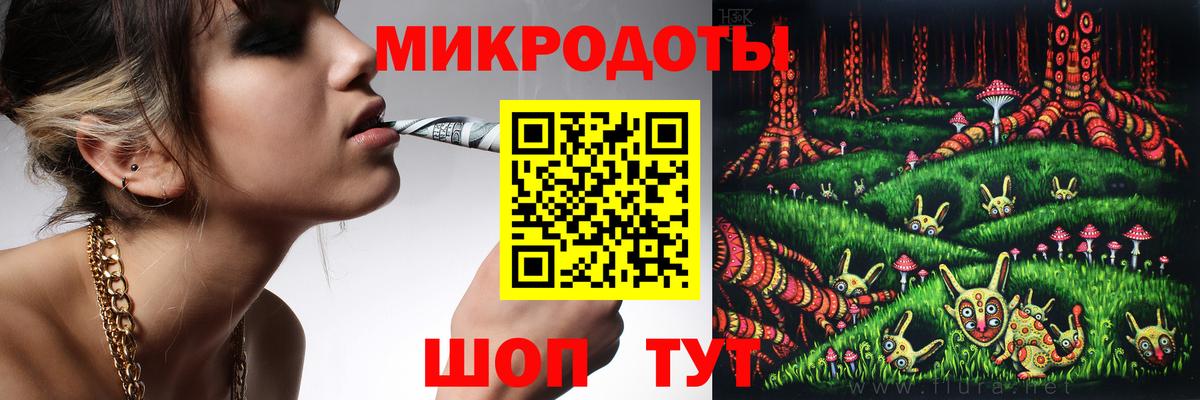 Галлюциногенные грибы Psilocybine cubensis Надым